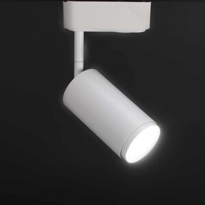Светодиодный светильник трековый 2L PX42 (10W, 220V, white, белый корпус) DELCI