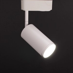 Светодиодный светильник трековый 2L PX422 (10W, 220V, day white, белый корпус) DELCI