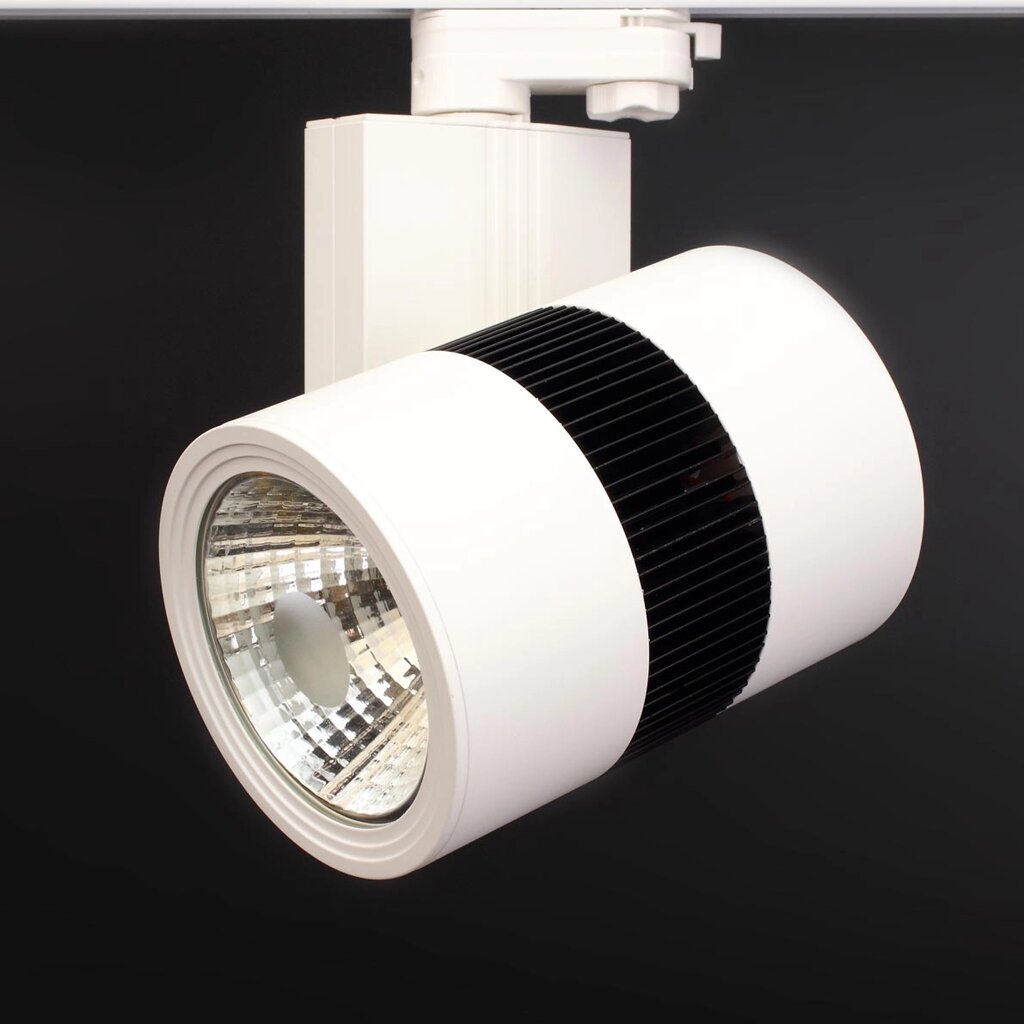 Светодиодный светильник трековый 4L 4L10 (35W, warm white) DELCI от компании ФЕРОСВЕТ - фото 1