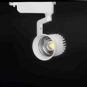 Светодиодный светильник трековый GDD-147 3L 3X10 (10W, White) DELCI