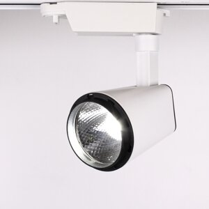 Светодиодный светильник трековый JH-GDD203 White 2L PX34 (10W, 220V, white) DELCI