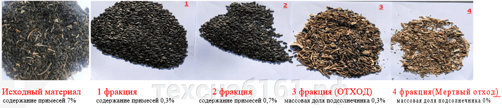 Машина Класс способна провести весь технологический процесс очистки семян подсолнечника. - фото pic_c057d270a849cbcb59ec1f22f31cac37_1920x9000_1.png