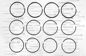 Поршневые кольца 101,0 (ЗМЗ 410, УМЗ 4218) Кострома