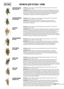 Пигмент для татуажа бровей PMU, 5 мл, Брови