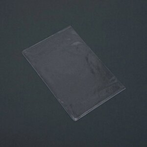 Чехол для листов паспорта, прозрачный, 10 шт (10 набор)