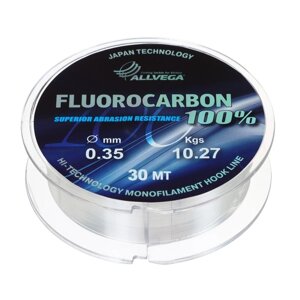Леска монофильная ALLVEGA FX Fluorocarbon 100%диаметр 0.35 мм, тест 10.27 кг, 30 м, прозрачная