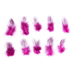 Набор перьев для декора 10 шт., размер 1 шт: 5 2 см, цвет розовый с чёрным
