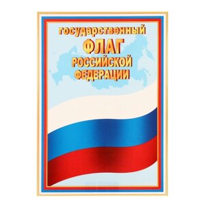 Плакат "Государственный флаг РФ" , 21,6х30,3 см (10 шт)