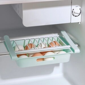 Полка для яиц в холодильник, подвесная, 12 ячеек, 26175 см, цвет МИКС