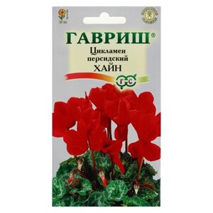 Семена цветов Цикламен "Хайн", персидский, 3 шт.