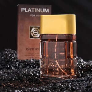 Туалетная вода мужская Platinum Elements, 100 мл