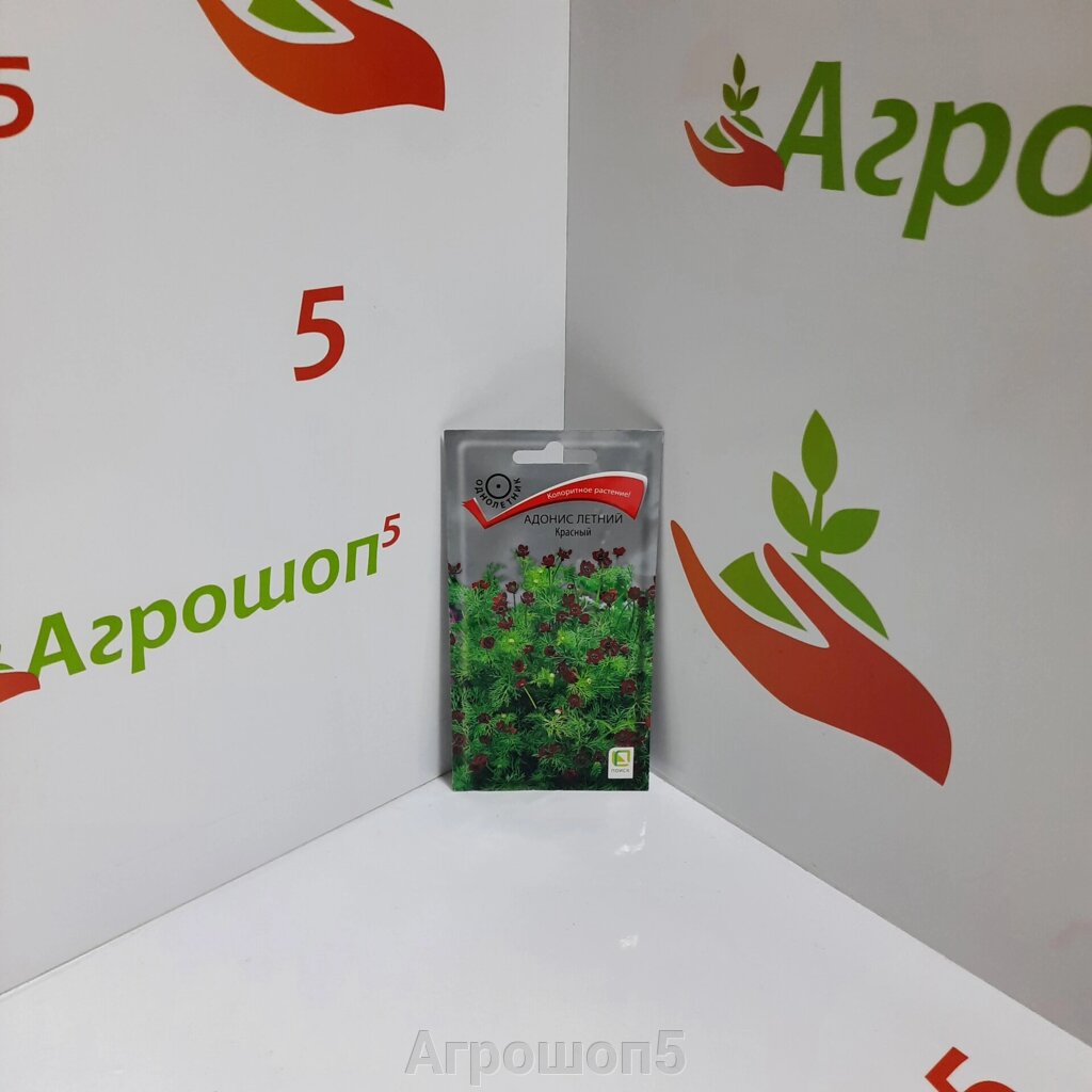 Адонис летний Красный. 0,3 г. Ажурный куст высотой около 30 см с красивой мелко-рассеченной листвой и красными цветками от компании Агрошоп5 - фото 1