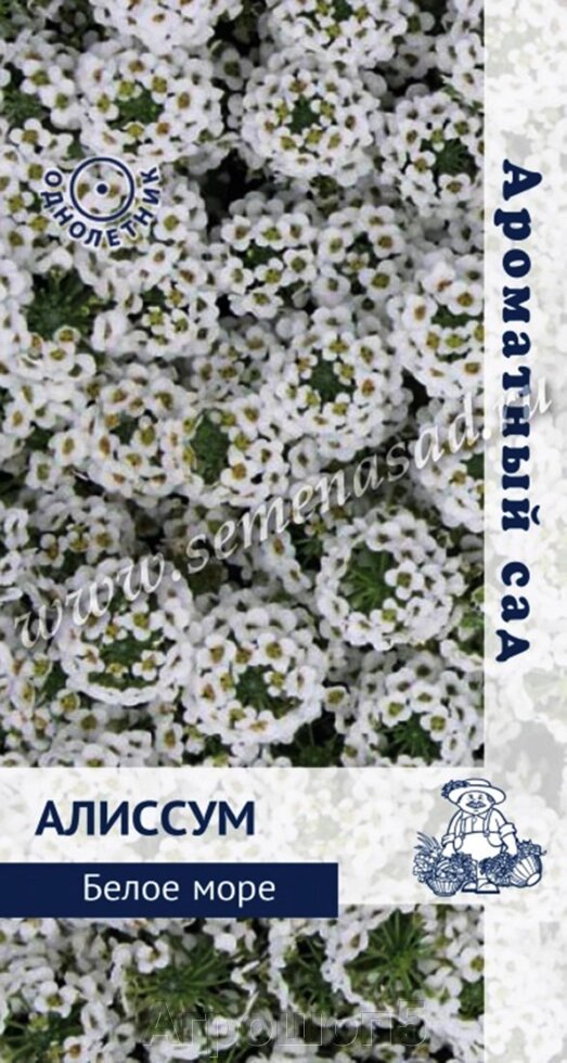 Алиссум Белое Море. 0,3 грамма. Поиск. Растительный ковер с мелкими белыми цветками и медовым запахом от компании Агрошоп5 - фото 1