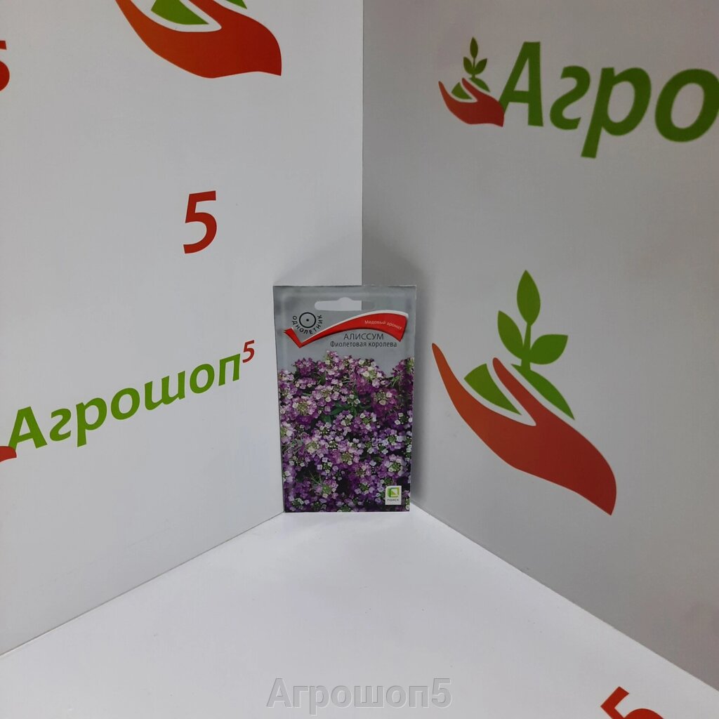Алиссум Фиолетовая королева. 0,3 г. Миниатюрное растение с мелкими цветками с медовым запахом высотой 12 см от компании Агрошоп5 - фото 1