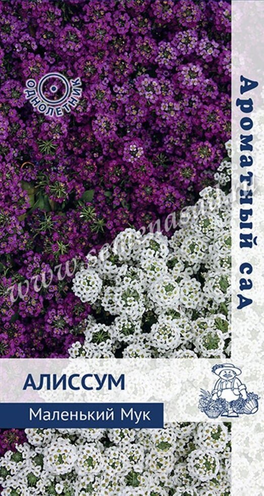 Алиссум Маленький мук. 0,3 грамма. Поиск. Создает бело-фиолетовый ковер с медовым запахом от компании Агрошоп5 - фото 1
