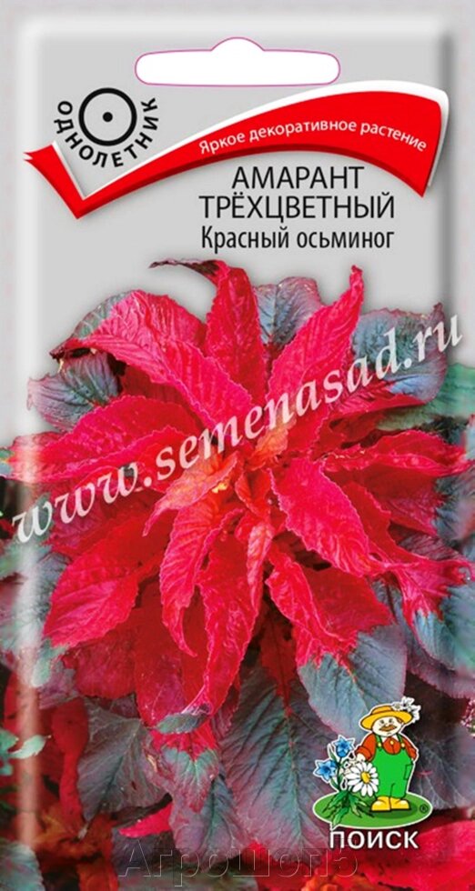 Амарант трёхцветный Красный осьминог. 0,1 грамма. Поиск. Яркая трехцветная декоративно-лиственная смесь от компании Агрошоп5 - фото 1