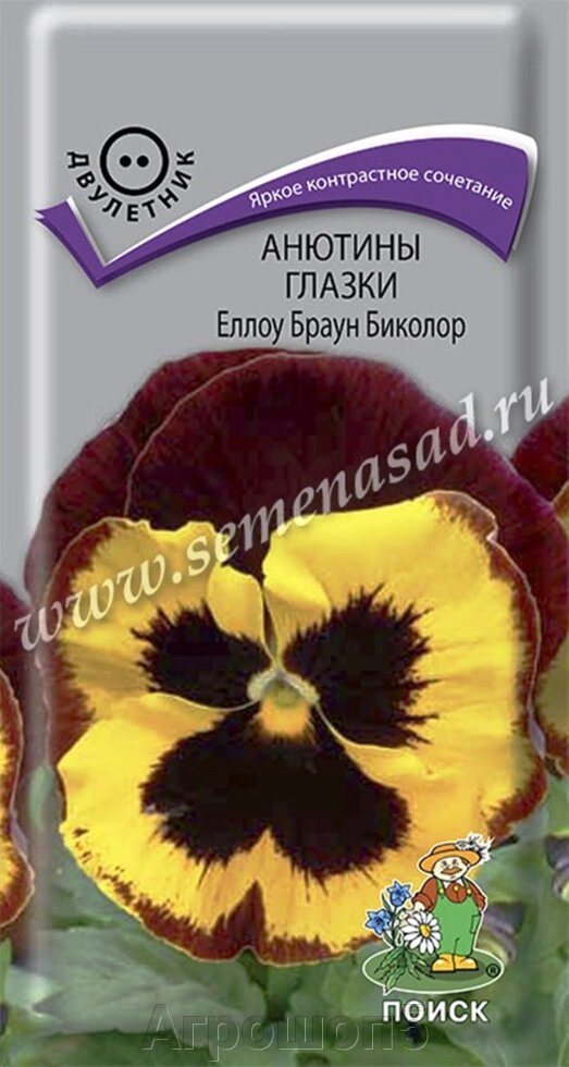 Анютины глазки Еллоу Браун Биколор 0,2 грамма. Поиск. Виола с крупными желто - коричневыми цветками от компании Агрошоп5 - фото 1