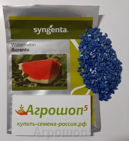 Арбуз Соренто Описание Сорта Фото Отзывы
