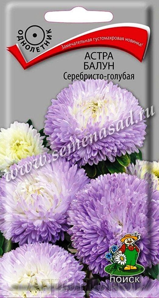 Астра Балун Серебристо-голубая. 0,1 грамма. Поиск. Астра махровая цветок крупный шаровидный. Высота 60 см от компании Агрошоп5 - фото 1