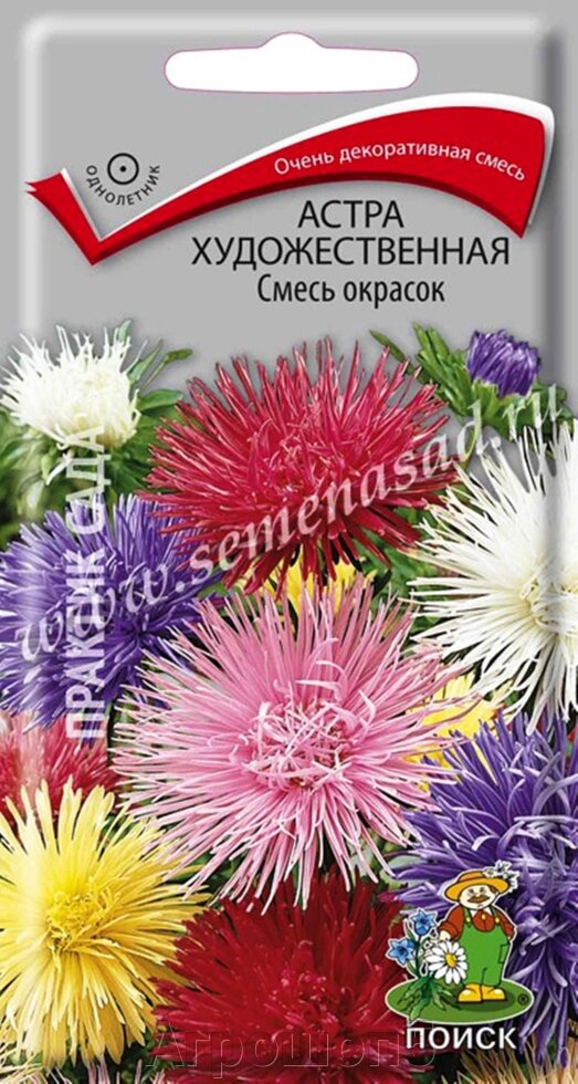 Астра художественная Смесь окрасок. 0,3 грамма. Поиск. Смесь сортов крупноцветковых игольчатых астр от компании Агрошоп5 - фото 1