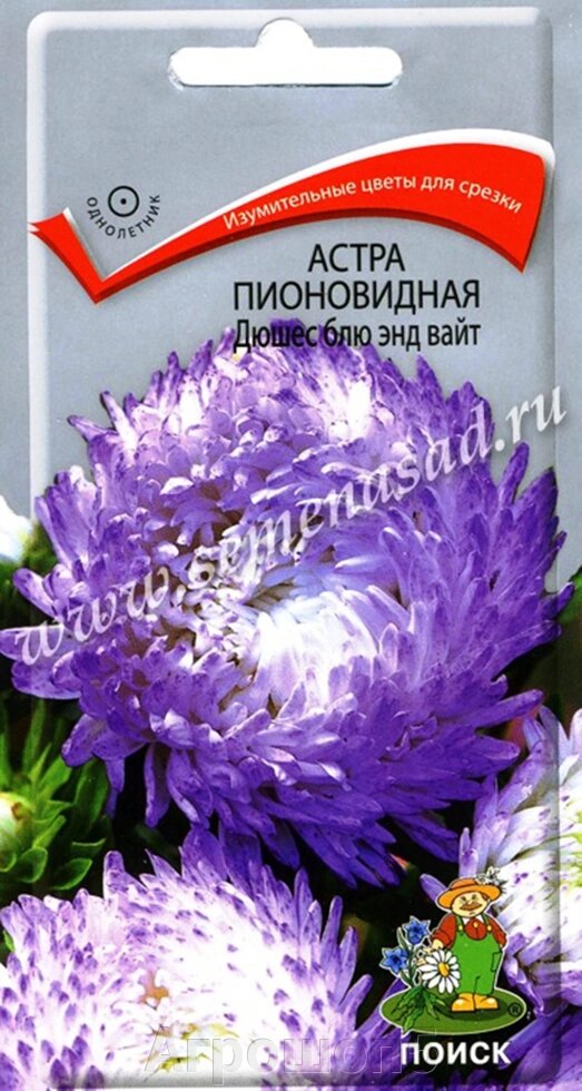 Астра пионовидная Дюшес блю энд вайт 0,3 грамма. Поиск. Пионовидная густомахровая астра сине-белой расцветки. Для срезки от компании Агрошоп5 - фото 1