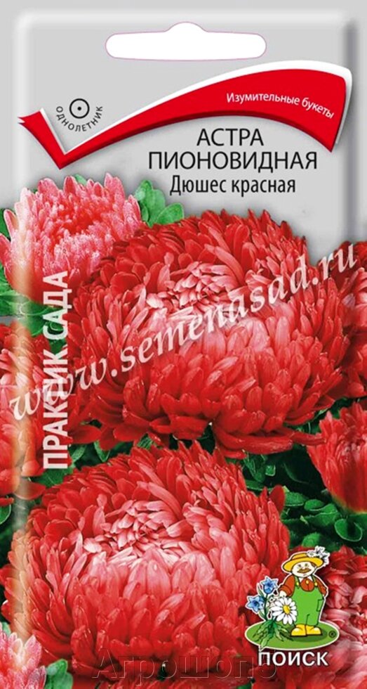 Астра пионовидная Дюшес красная. 0,3 грамм. Поиск. Астра на срезку: абрикосово-розовая, полусферическая, густомахровая от компании Агрошоп5 - фото 1