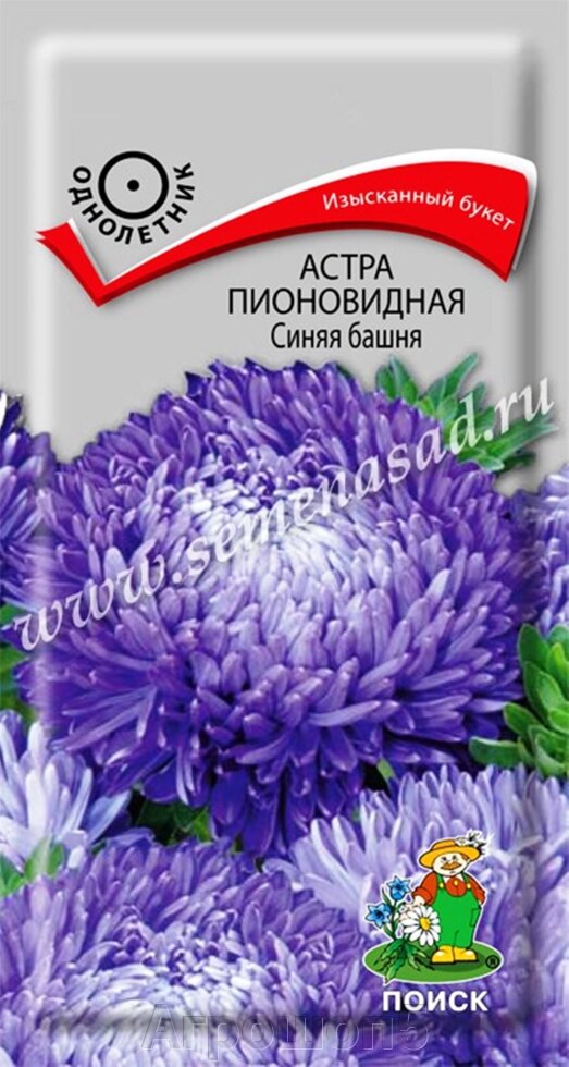 Астра пионовидная Синяя башня. 0,3 грамма. Поиск. Астра высокорослая крупноцветковая, густомахровая сине-фиолетовая от компании Агрошоп5 - фото 1