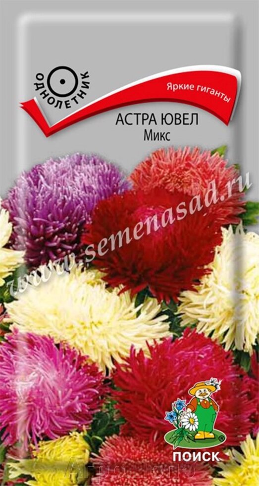 Астра ювел Микс. 0,2 грамма. Поиск. Буйство красок густомахровых гигантских цветов высокорослых астр от компании Агрошоп5 - фото 1