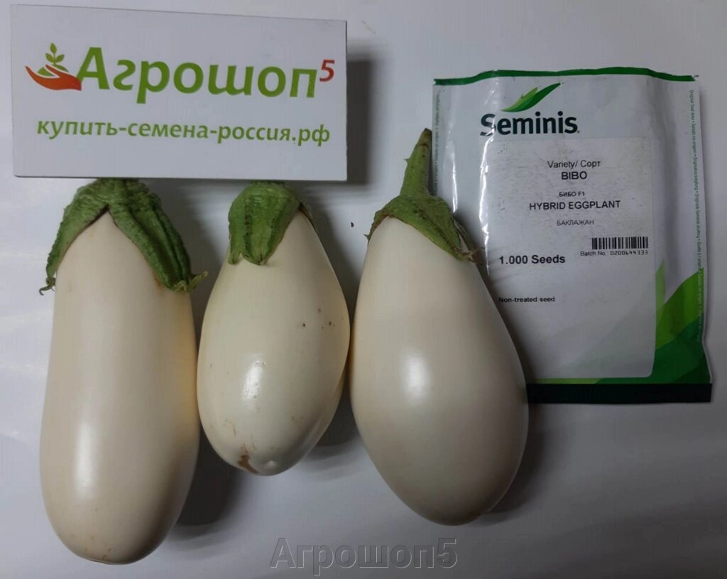 Баклажан Бибо F1. 50 семян. Seminis. Раннеспелый белоплодный баклажан для ОГ и теплиц от компании Агрошоп5 - фото 1