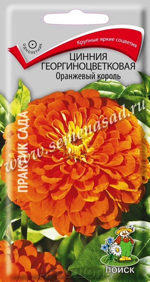 Цинния георгиноцветковая Оранжевый король. 0,4 грамма. Поиск. Плотные полушаровидные крупные оранжевые цветы от компании Агрошоп5 - фото 1