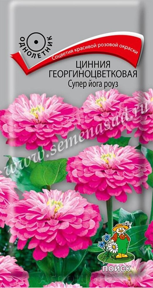 Цинния георгиноцветковая Супер йога роуз. 0,4 грамма Поиск. Высокое растение с большими полушаровидными розовыми цветами от компании Агрошоп5 - фото 1
