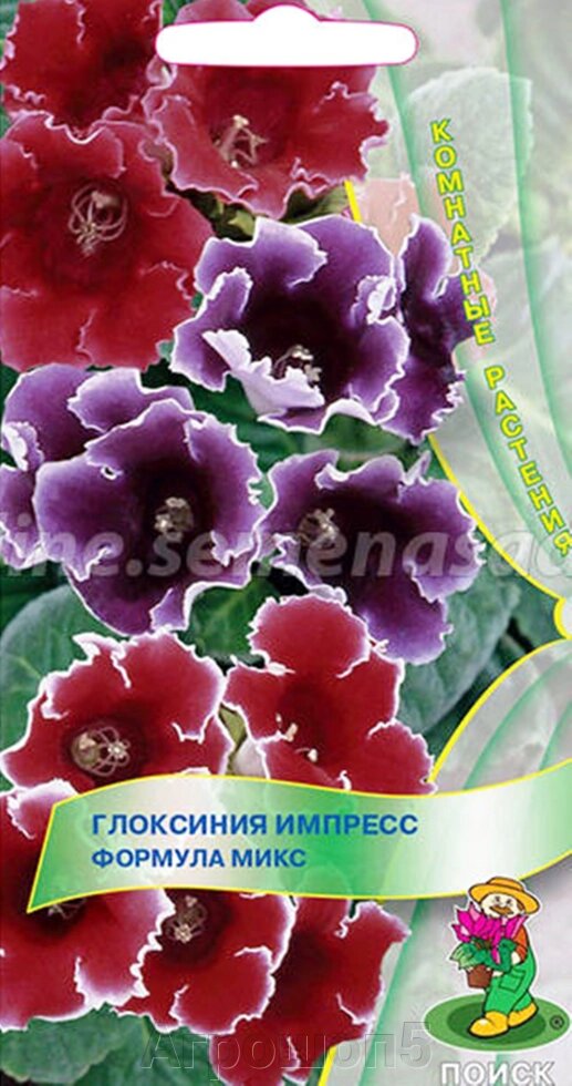 Глоксиния Импресс Формула микс. 5 семян. Поиск. Восхитительной красоты смесь! Цветки разнообразнейшей окраски от компании Агрошоп5 - фото 1