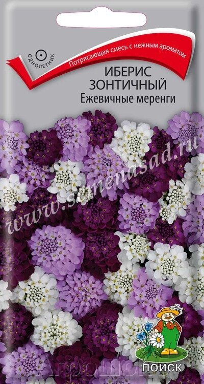 Иберис зонтичный Ежевичные меренги. 0,1 грамма. Поиск. Ветвистое раскидистое растение с душистыми цветками от компании Агрошоп5 - фото 1