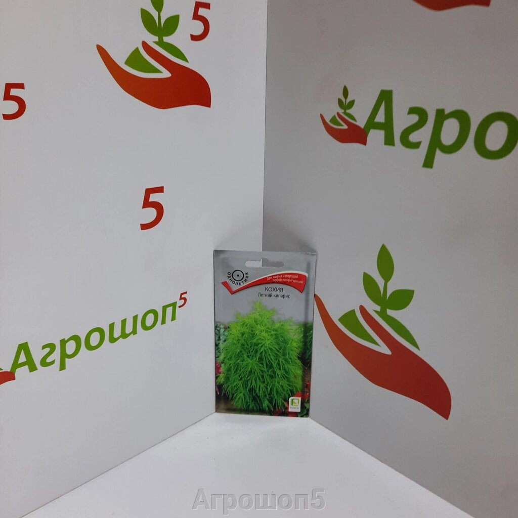 Кохия Летний кипарис. 0,2 г. Декоративное растение похожее на маленькую елочку высотой 80 см от компании Агрошоп5 - фото 1