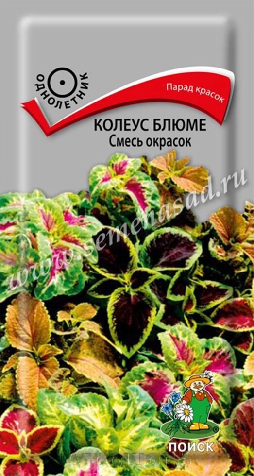 Колеус Блюме Смесь окрасок. 0,1 грамма. Поиск. Декоративно-лиственное растение с разнообразием расцветок от компании Агрошоп5 - фото 1