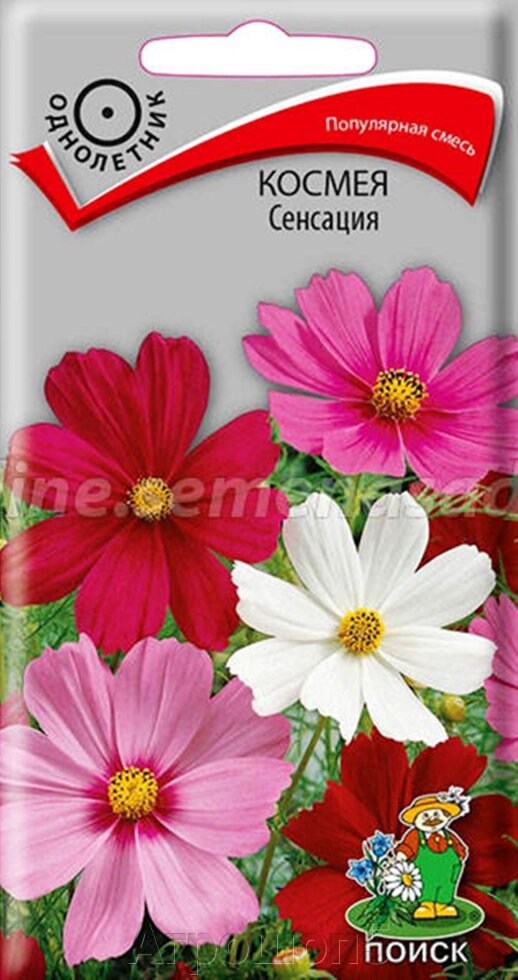 Космея Сенсация. 0,3 грамма. Поиск. Крупные цветки белой, розовой, карминовой окраски от компании Агрошоп5 - фото 1