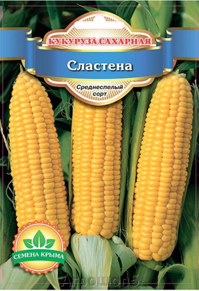 Кукуруза сахарная Сластена. 20 грамм. Семена Крыма. Семена сахарной | сладкой кукурузы от компании Агрошоп5 - фото 1