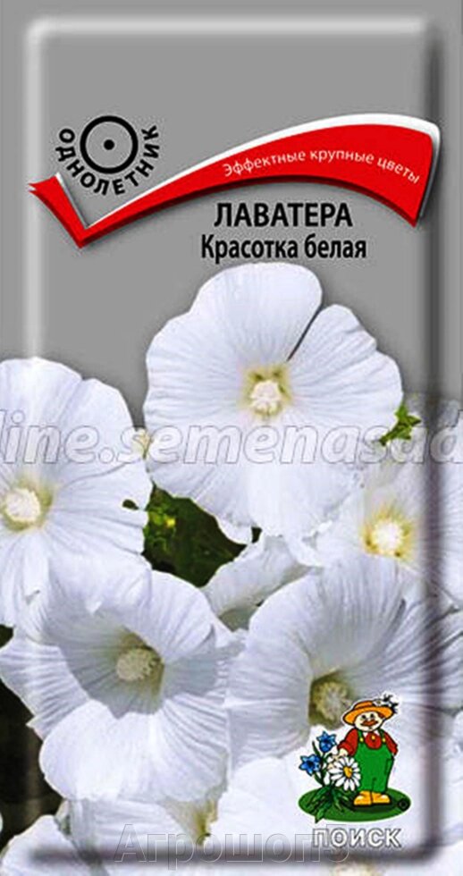 Лаватера Красотка белая. 0,3 грамма. Поиск. Крупные красивые яркие цветы белоснежной окраски от компании Агрошоп5 - фото 1