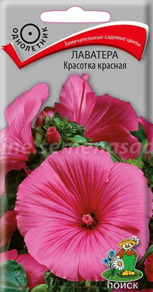 Лаватера Красотка красная. 0,3 грамма. Поиск. Крупные красивые яркие цветы розово-красной расцветки от компании Агрошоп5 - фото 1
