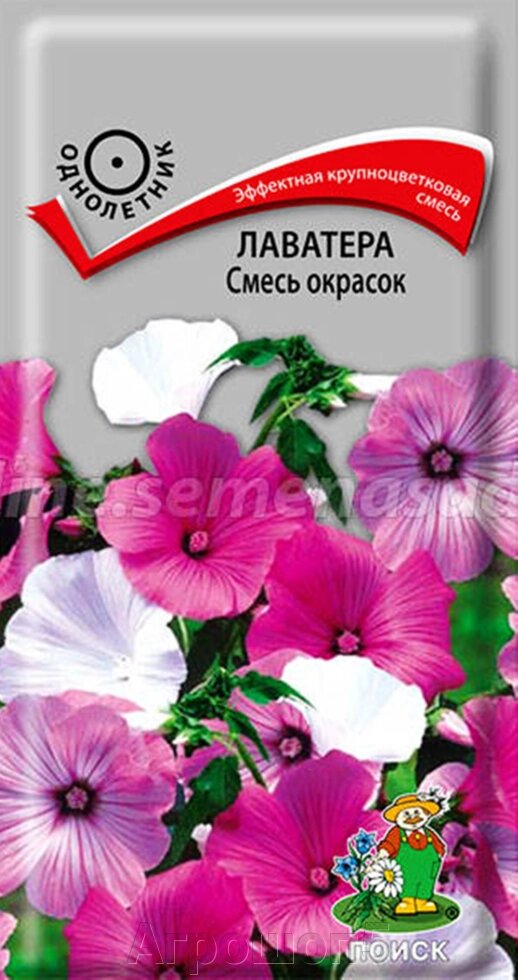 Лаватера Смесь окрасок. 0,3 грамма. Поиск. Крупные красивые яркие цветы белой, розовой и темно-розовой расцветок от компании Агрошоп5 - фото 1