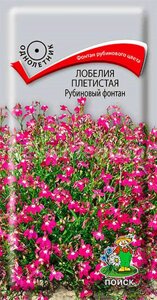 Лобелия плетистая Фонтан Рубиновый. 0,1 г. Поиск. Растение со свисающими побегами, усыпанное рубиново-красными цветками
