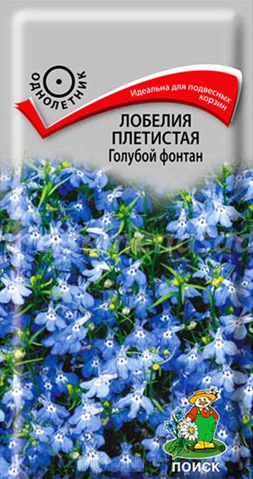 Лобелия плетистая Голубой фонтан. 0,1 грамма. Поиск. Красивое растение со свисающими побегами, усыпано голубыми цветками от компании Агрошоп5 - фото 1