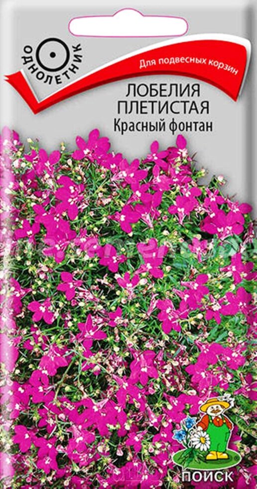 Лобелия плетистая Красный фонтан. 0,1 грамма. Поиск. Красивое растение со свисающими побегами, усыпано красными цветками от компании Агрошоп5 - фото 1