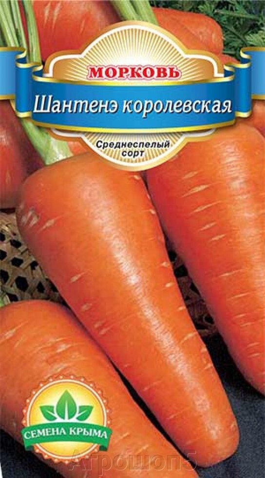 Морковь Шантенэ королевская. 10 грамм. Семена Крыма. Среднеспелый высоко урожайный сорт моркови. Тип Шантане ##от компании## Агрошоп5 - ##фото## 1