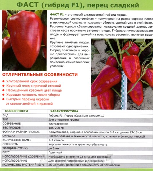Перец венти описание сорта фото 2755 руб. Перец Фаст F1. 500 семян. Сверхранний крупный сладкий перец с огромной