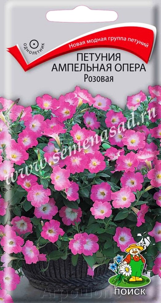 Петуния ампельная Опера Розовая. 5 семян. Поиск. Ампельная петуния с крупными розово-белыми цветами. Побеги до 80 см от компании Агрошоп5 - фото 1