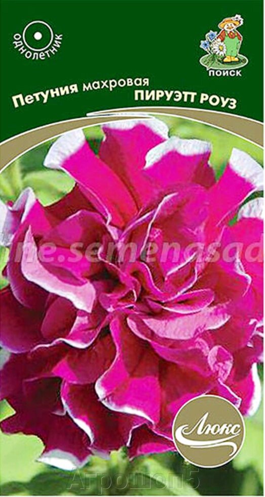 Петуния махровая Пируэт роуз. 10 семян. Поиск. Цветы махровые розово-малиновые с белой окантовкой по краю лепестков от компании Агрошоп5 - фото 1