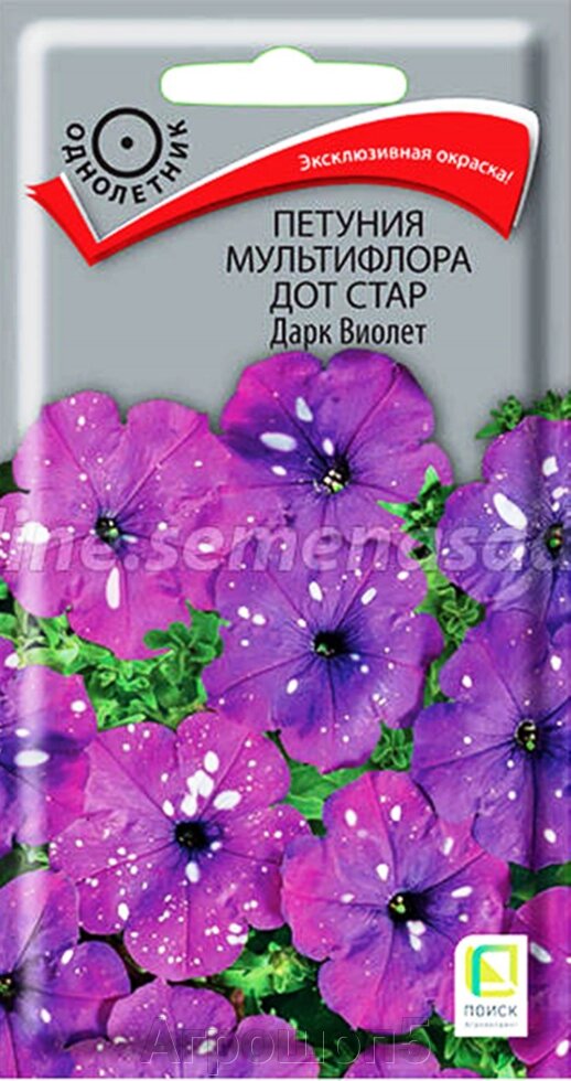 Петуния мультифлора Дот Стар Дарк Виолет. 10 семян. Поиск. Крупноцветковая лилово-синяя с белыми точками петуния от компании Агрошоп5 - фото 1