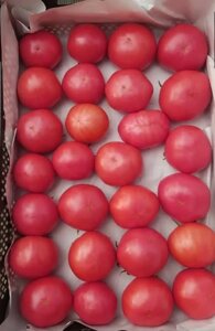 Томат Пинк Агат | Мама Роза F1. 1000 семян. Unigen Seeds. Розовый высокорослый урожайный крупноплодный (250-280 г) томат