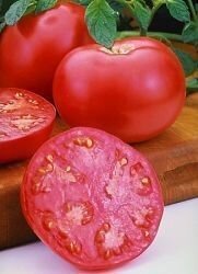 Детерминантные | низкорослые томаты для выращивания в открытом грунте